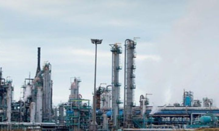 Petrochemical plant