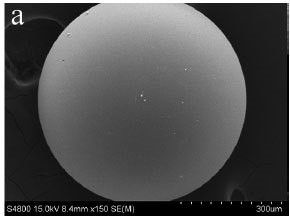 Photo 6 - Gelular Resin – 15Kx Magnification