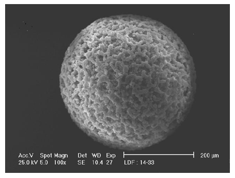 Photo 7 - Macroporous Resin - 25 Kx Magnification
