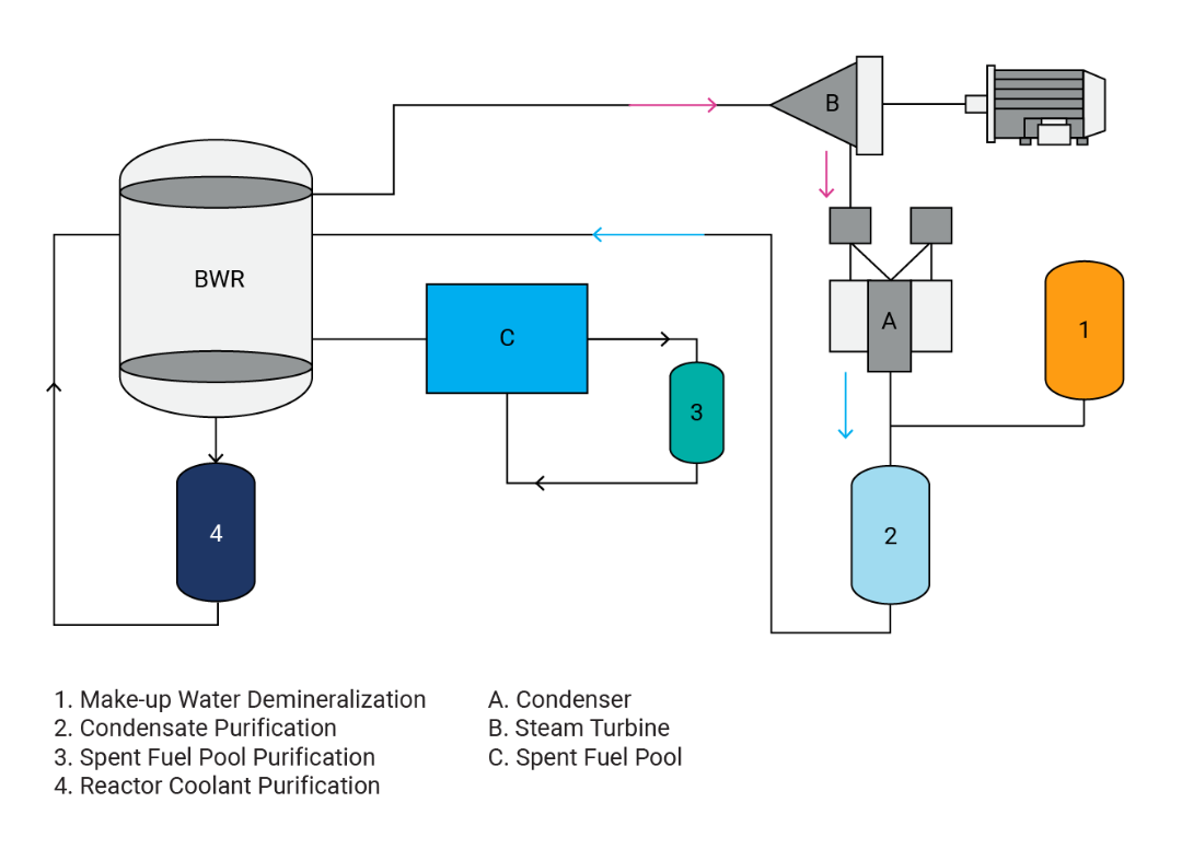 boiling water reactor